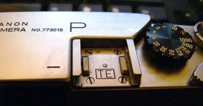 p5.jpg