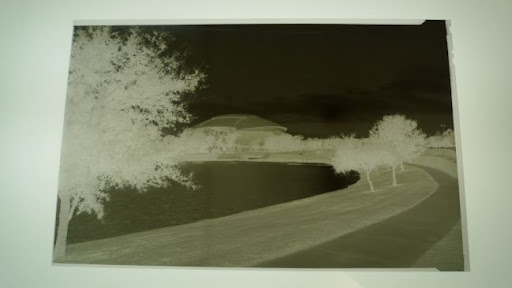 P1000274-1-2.jpg