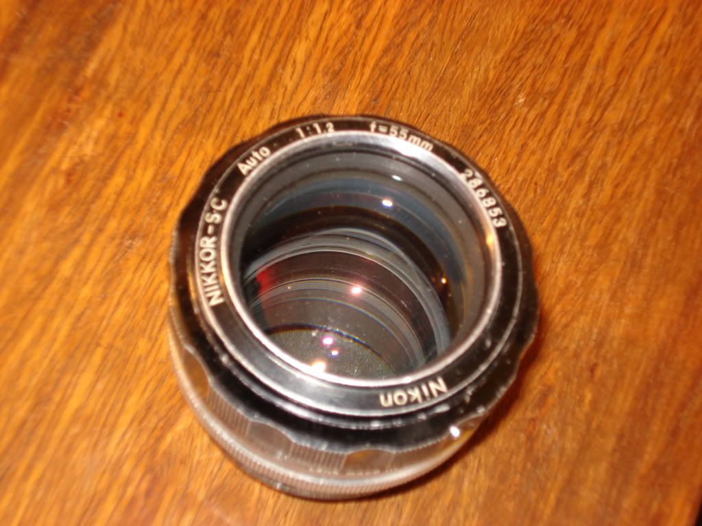 DSC01246.jpg