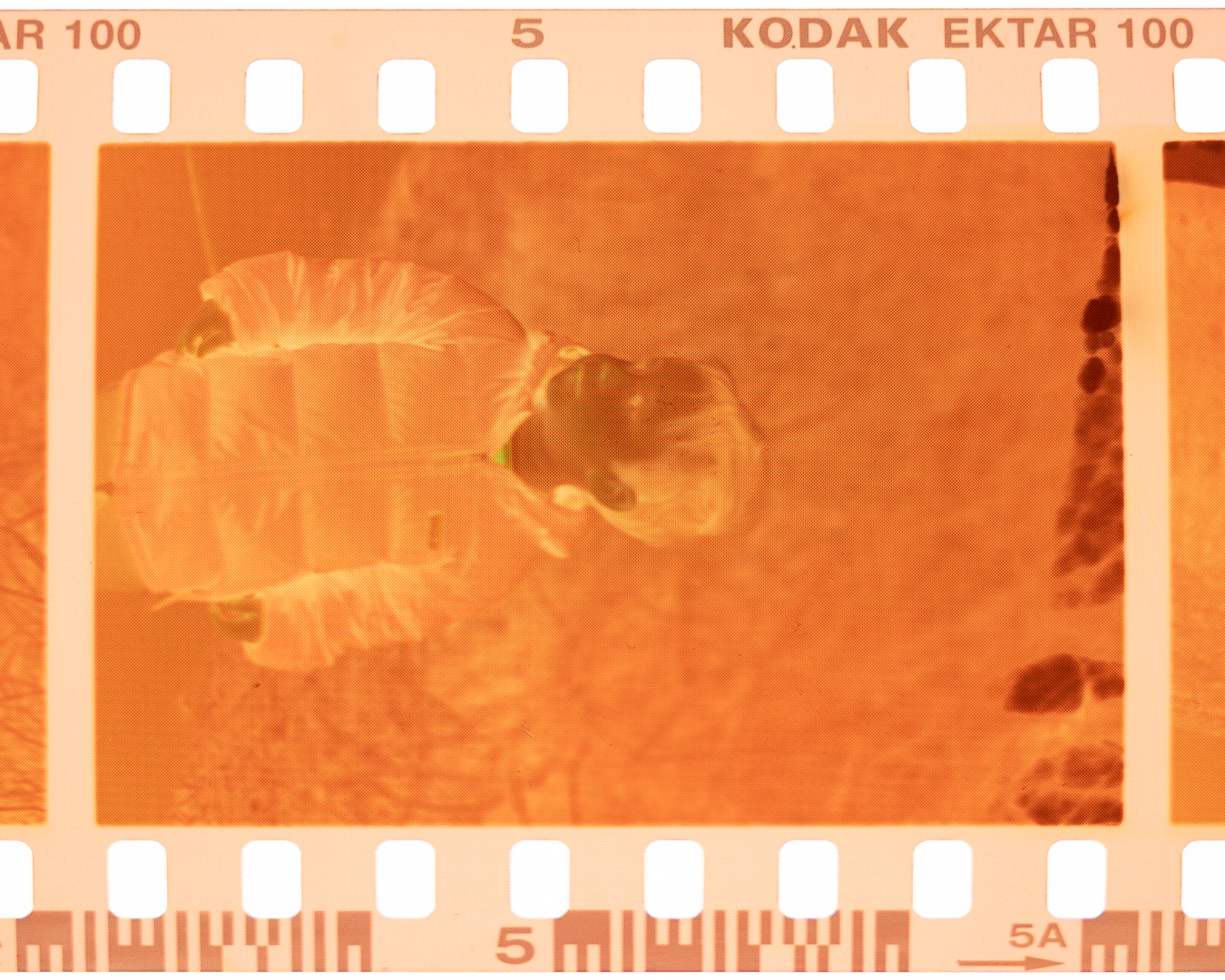 53611462593_bdc19c58d2_o.jpg