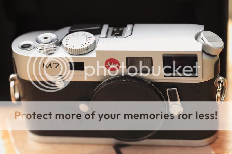 LeicaM77.jpg