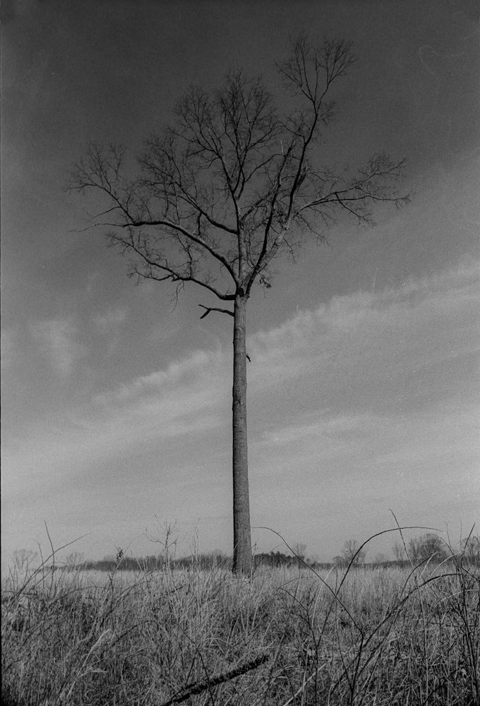 Scan-130131-0006_zpse78520e1.jpg