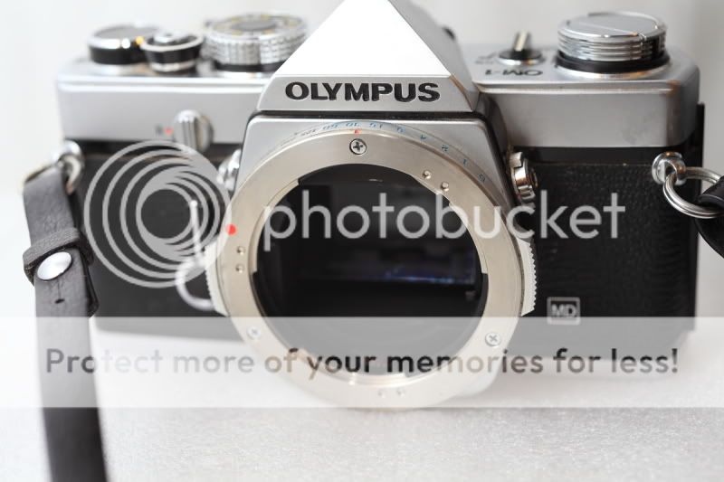 Olympuscameras5.jpg