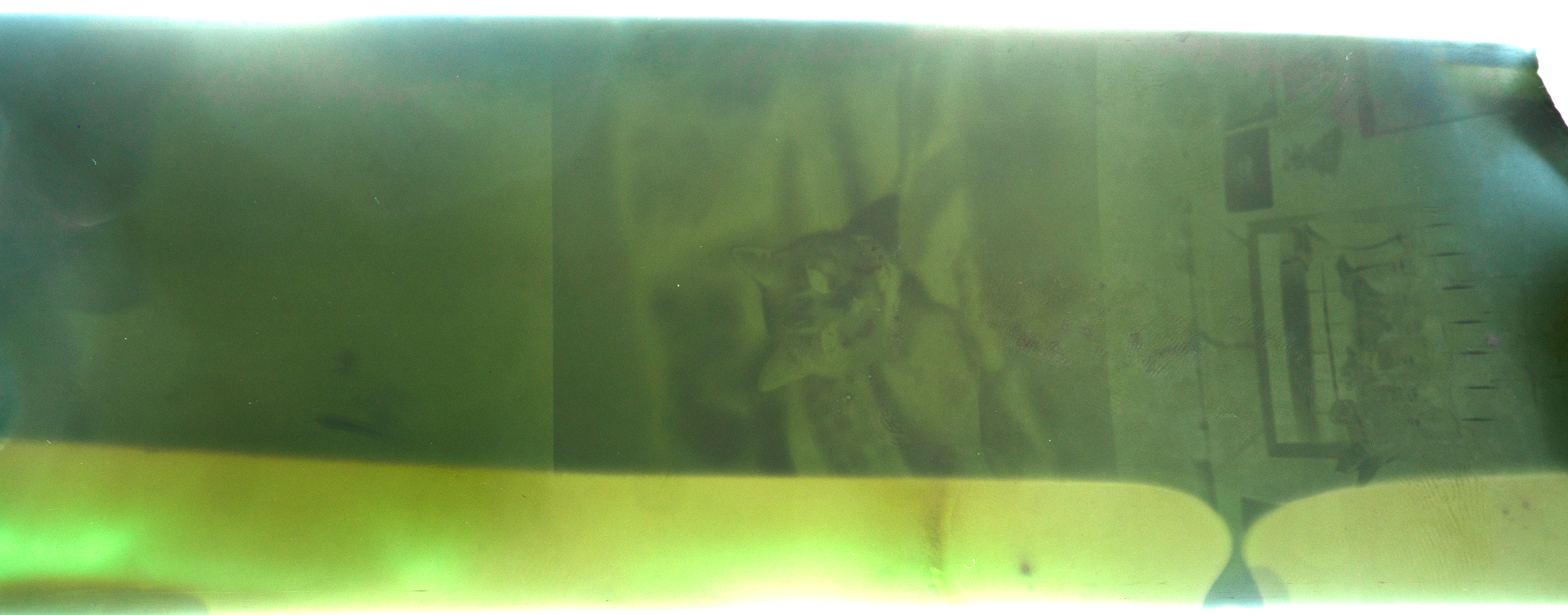 P1029169.png