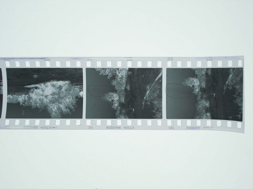 d07X2tUh.jpg