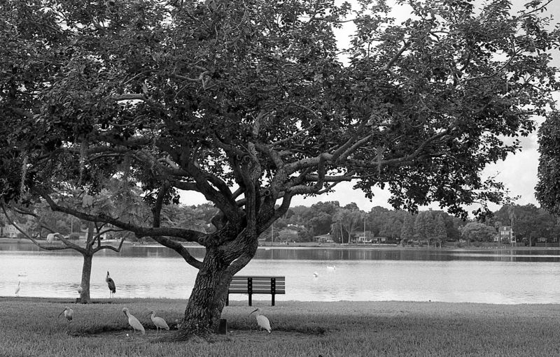 Lake007%20Small_zpsevzundud.jpg