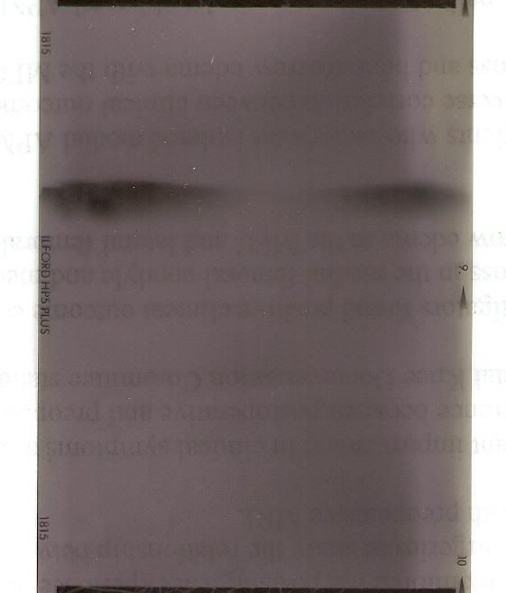 leaks.jpg