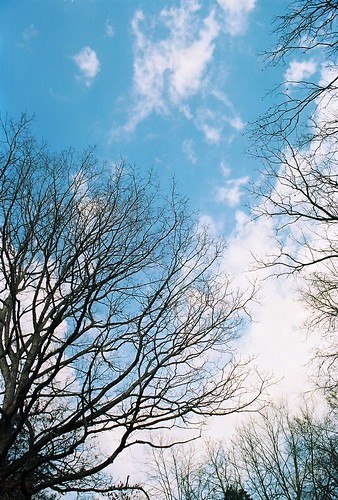5549157126_ff174183d1.jpg