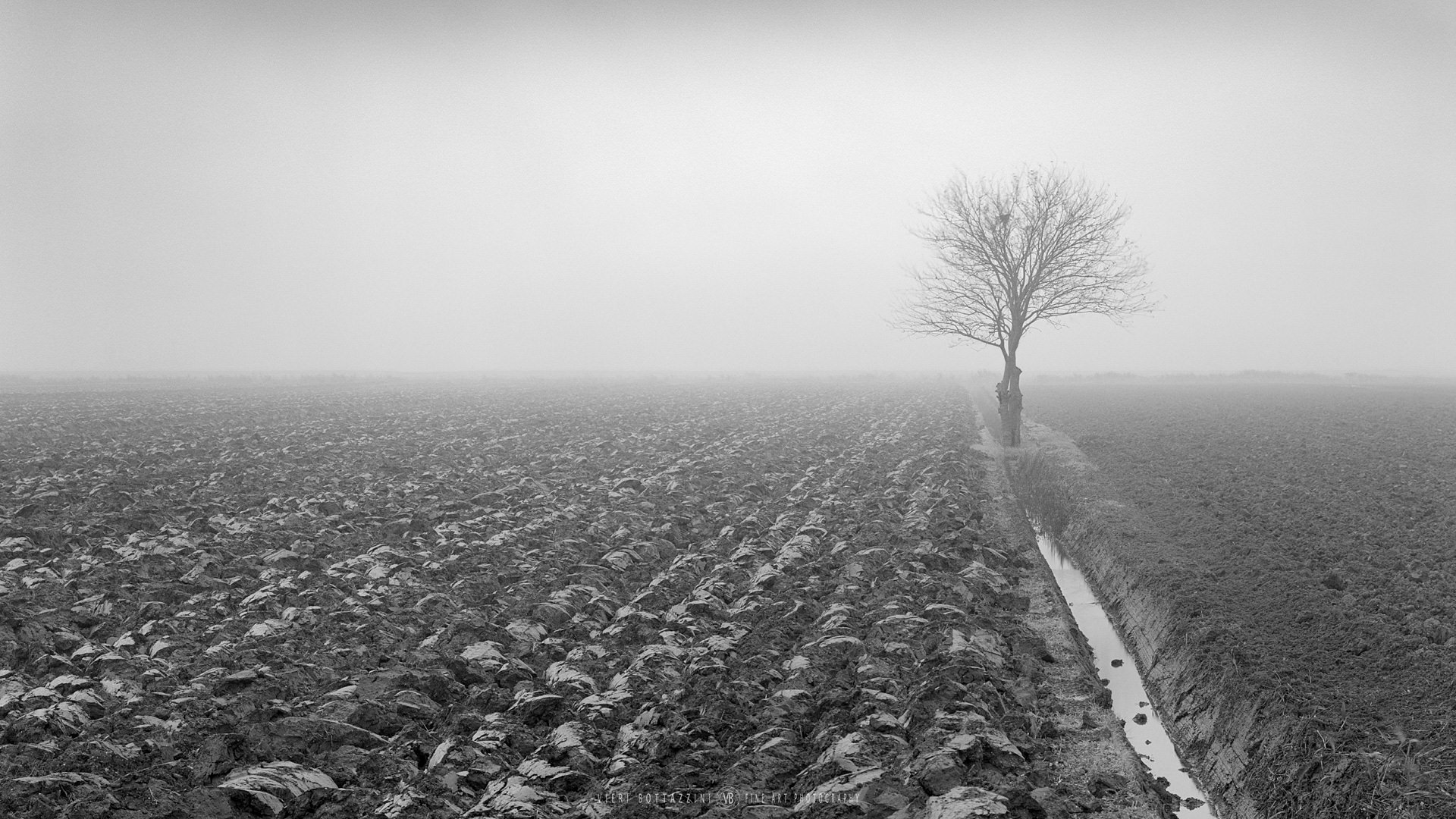 2024_11_29_Arca_FP4_0021.jpg