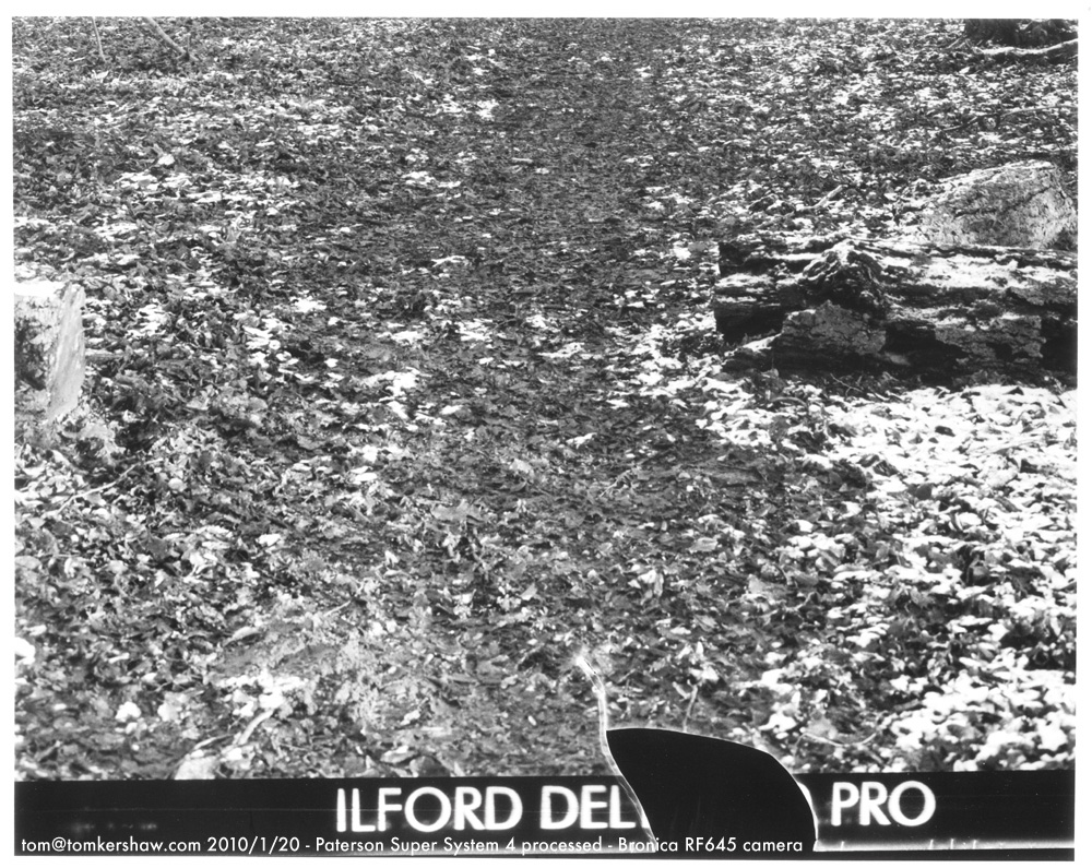 ilford_D400_damage.jpg