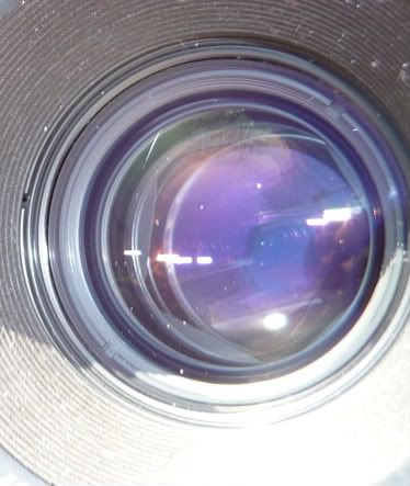 P1000540-1.jpg