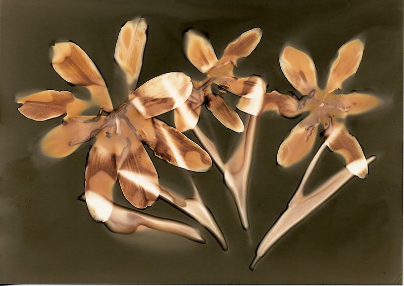 brucecsdunekphotography.zenfolio.com