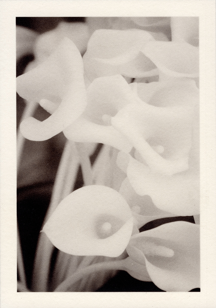 scan-130729-0001.jpg