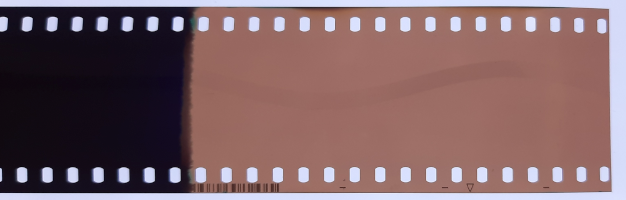 image-3.png