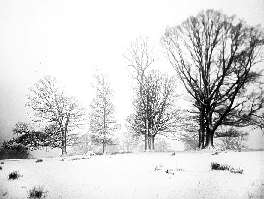 ardgowan_snowscape.jpg