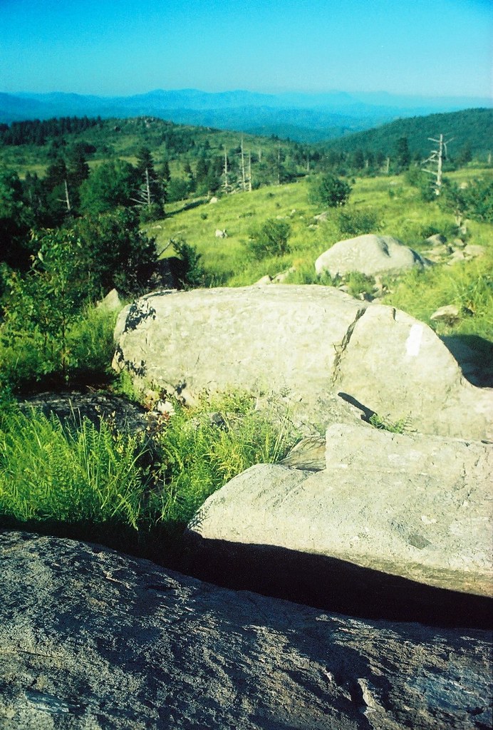5841389676_c741f23d62_b.jpg