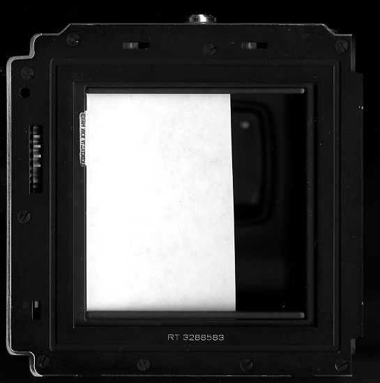 customizedHasselbladBack_zps0qgv6b76.jpg