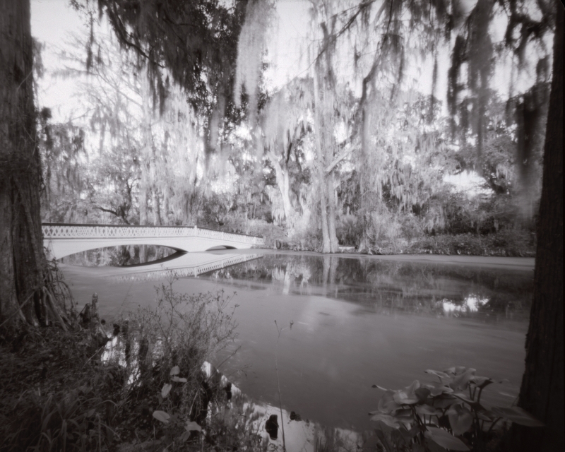 PinholeBridgeMagnolia.jpg