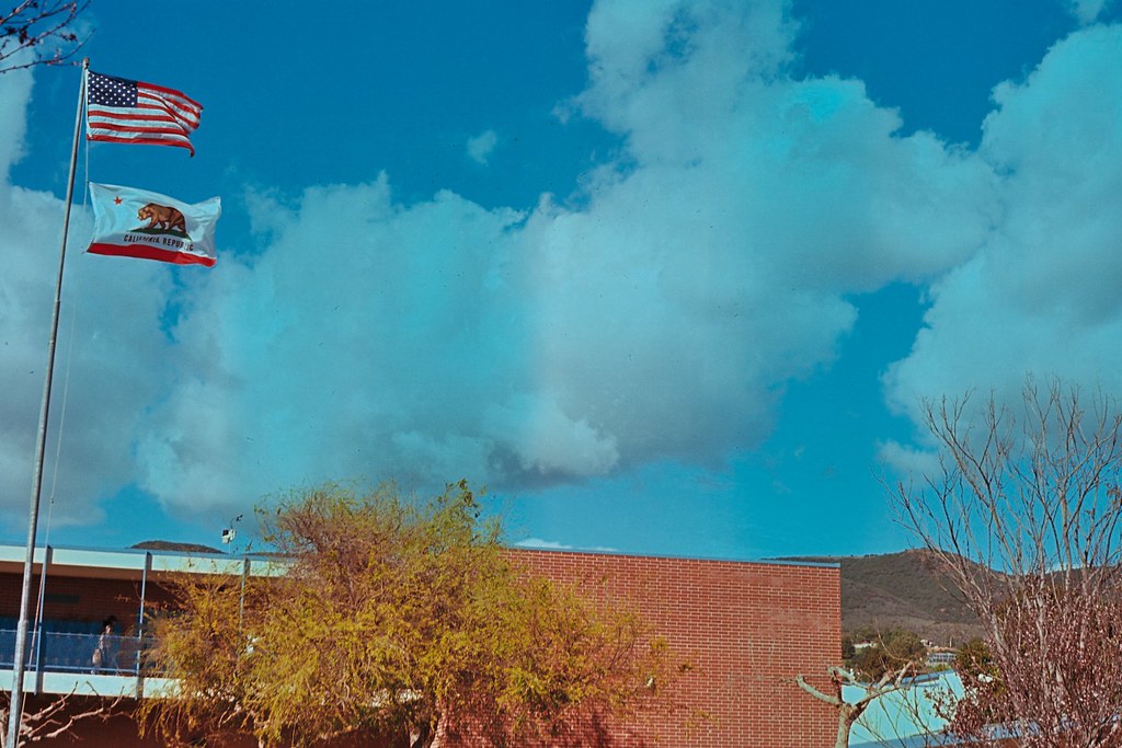 3280620106_7a04efc58b_b.jpg