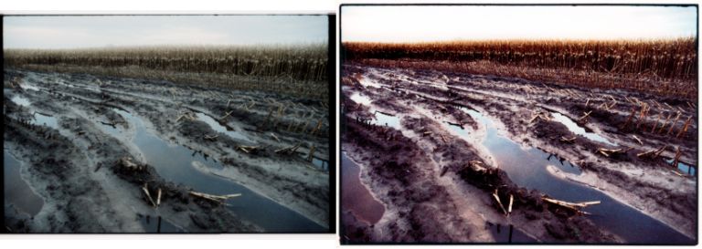 image-8-768x273.png
