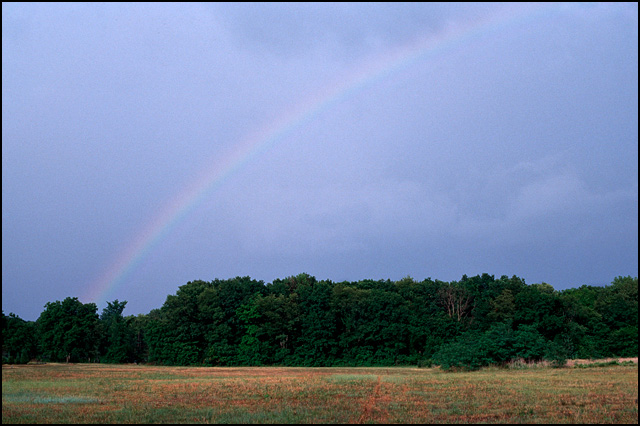 rainbow.jpg