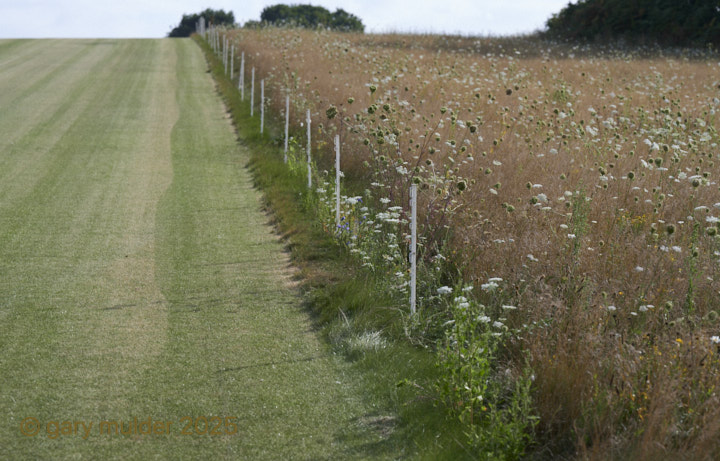 NZ7_0553.jpg