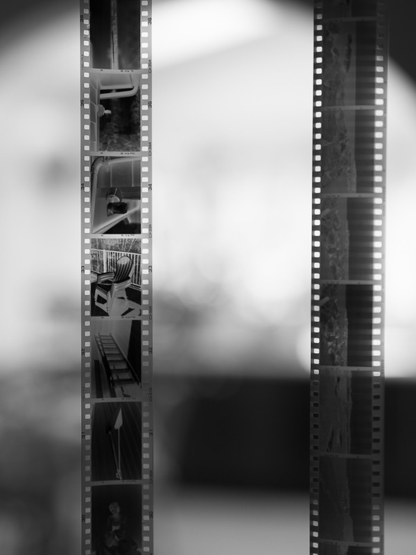 17641304418_6fd2477df9_c.jpg