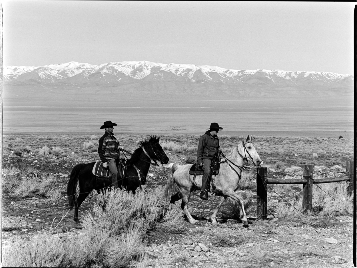 Colorado_Arista100_1250px_-0002.jpg