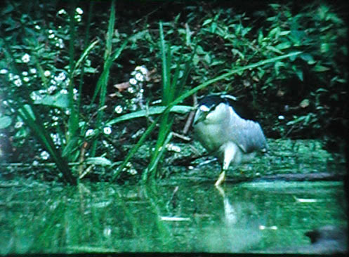 Velvia50Dtest.jpg