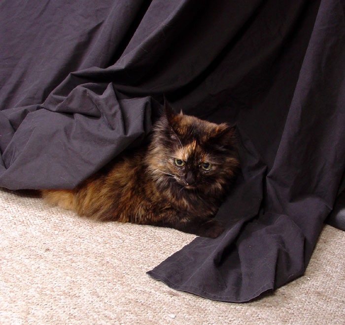 photohelper2.jpg