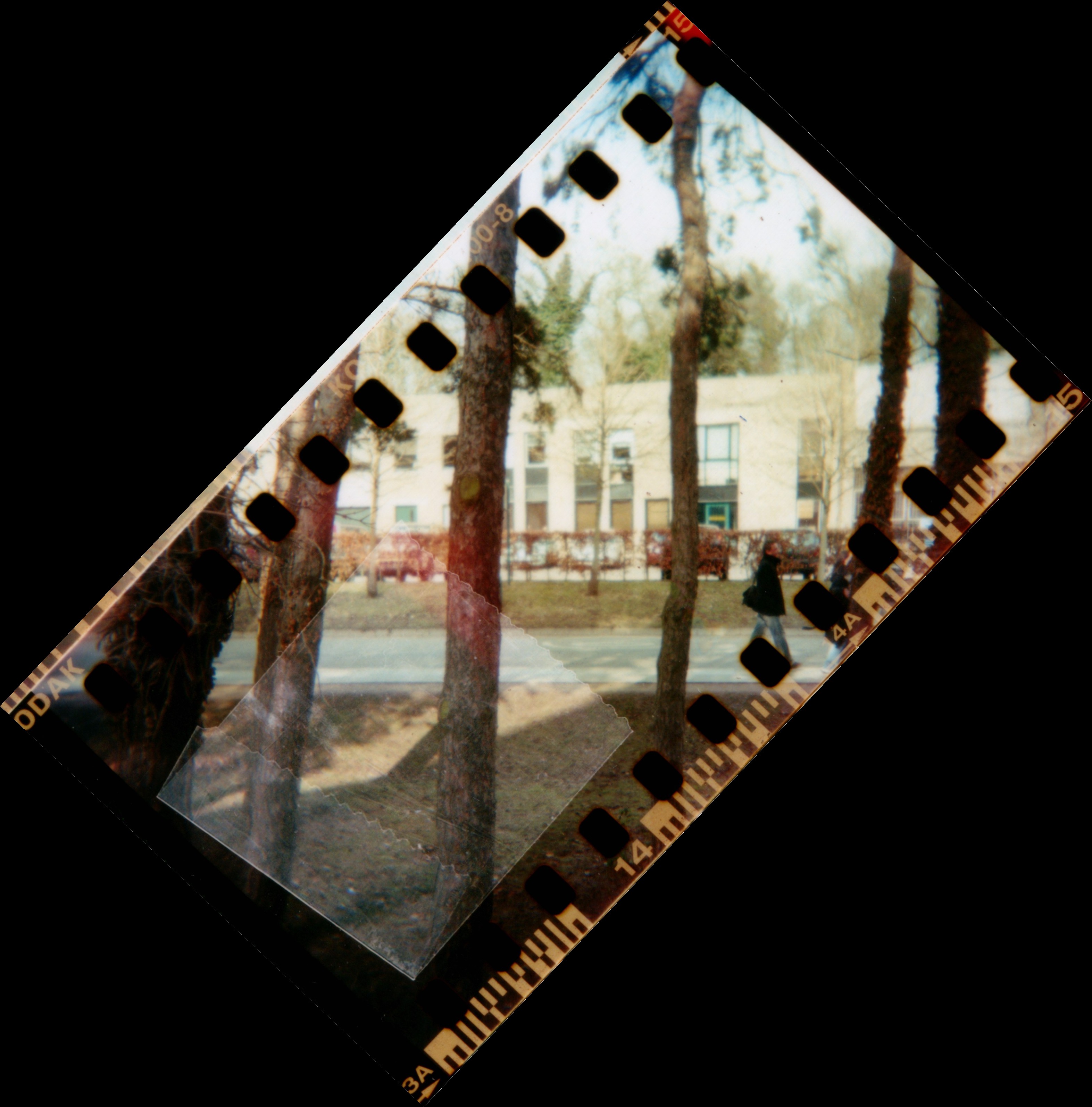 132557903_940fd0fdd1_o.jpg