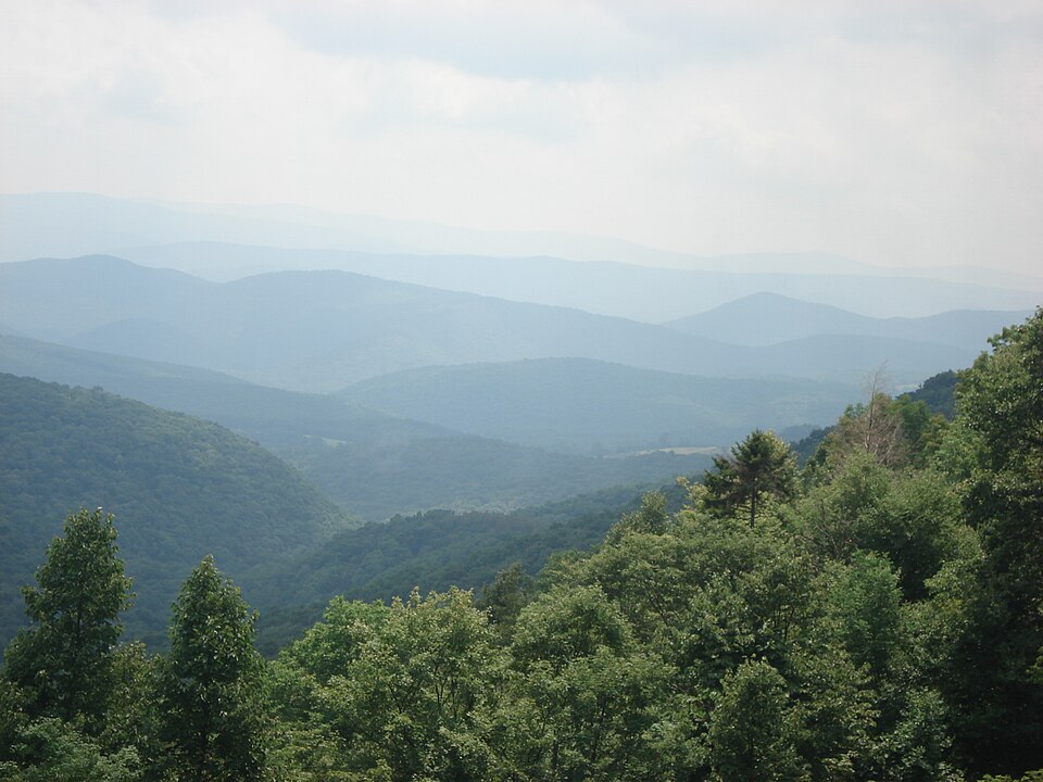 960px-MonNatForest.jpg