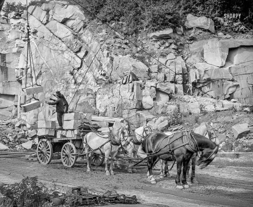 www.shorpy.com