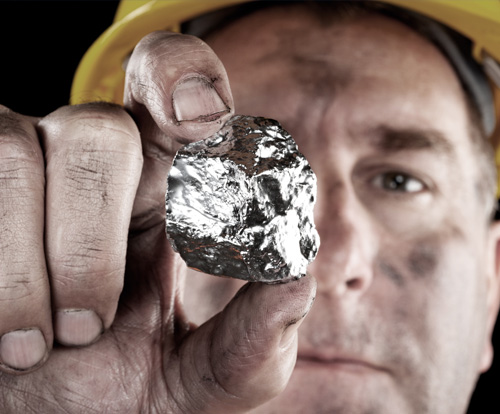 silverinstitute.org