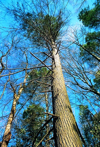 5549152088_14376d8e04.jpg