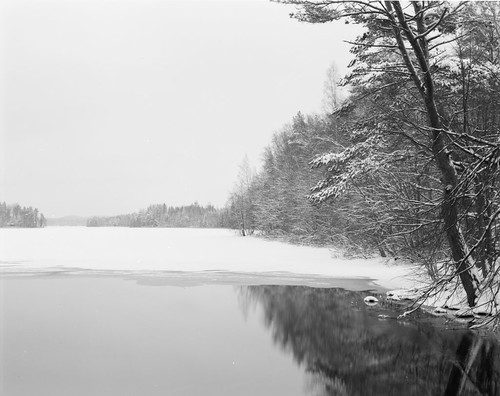3221512445_746d555445.jpg