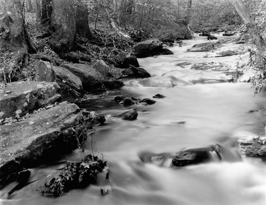 frogtown_creek_III.jpg