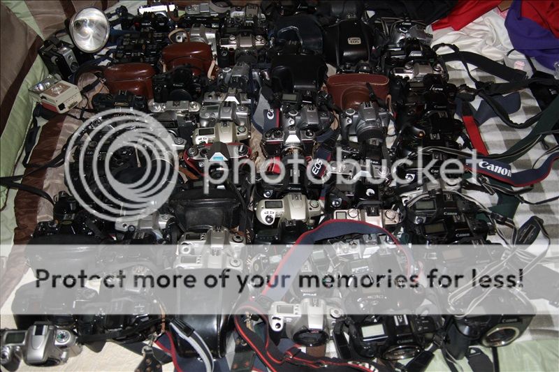 IMG_0038_IJFR_800_zps6d8dcb4c.jpg
