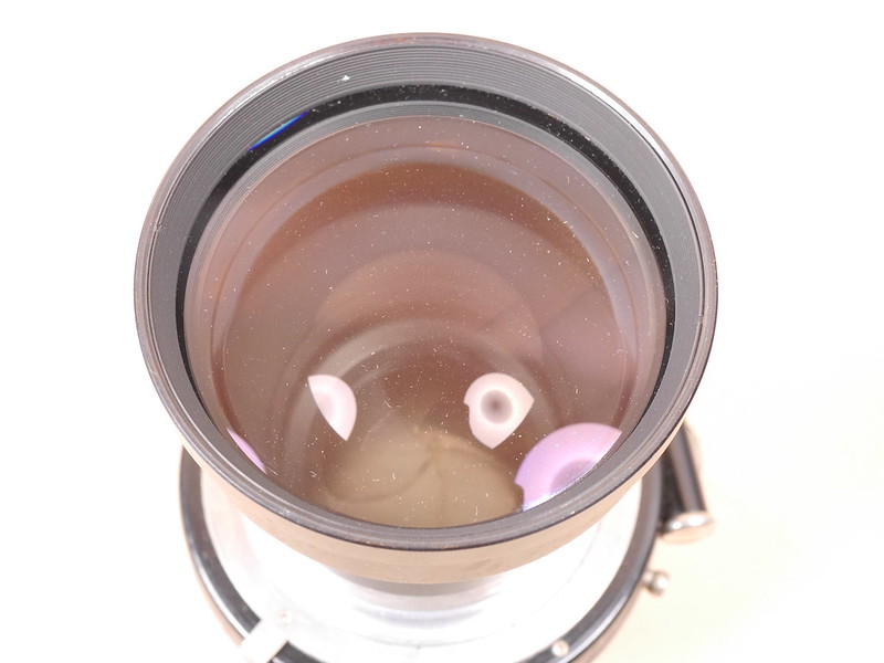 54746058975_507bf97560_c.jpg