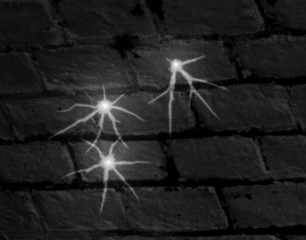 forum_stars_detail_16062006.jpg
