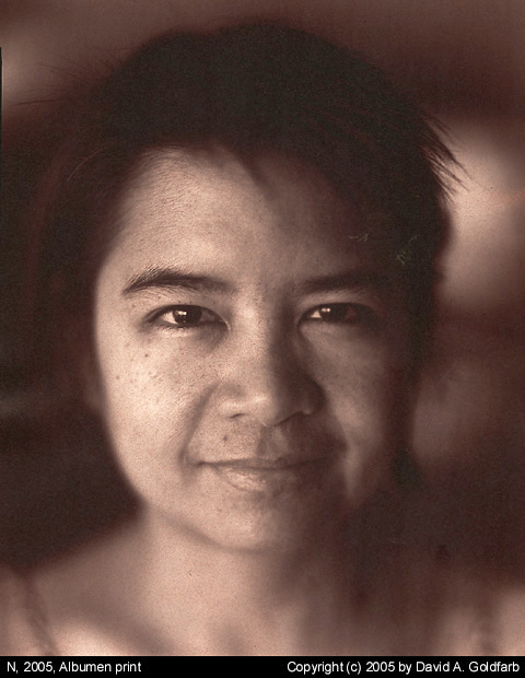 n2005albumen.jpg