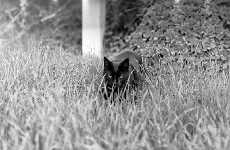 Delta100_135_test1_800-118.jpg