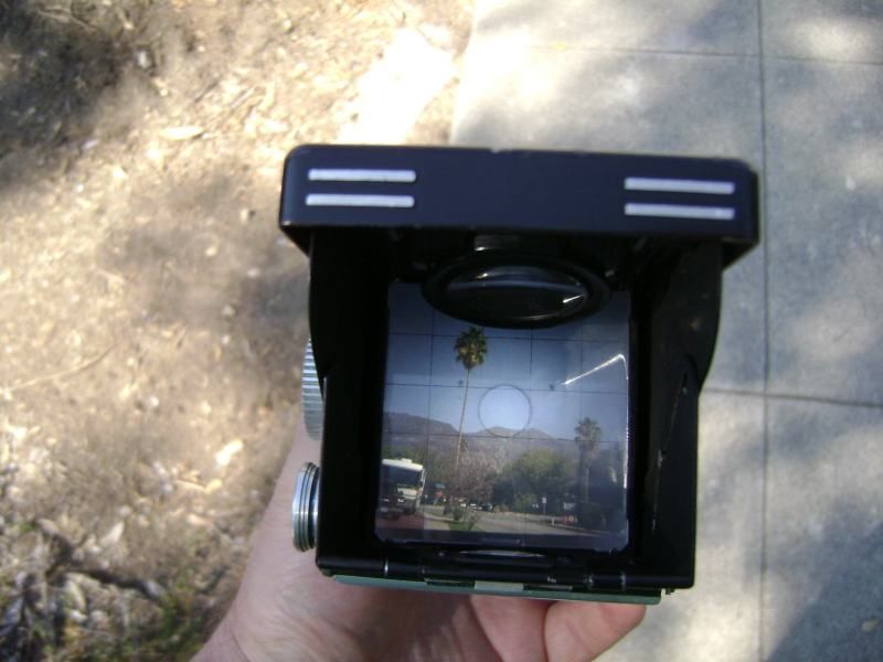 rol-14.jpg