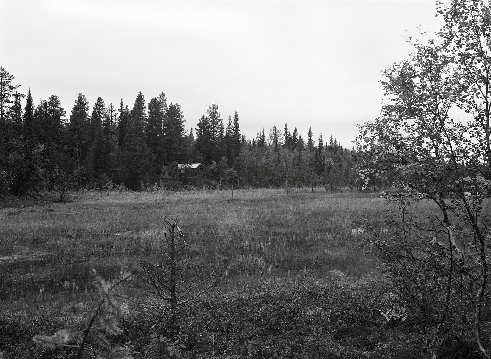 53628621523_a044be063a_h.jpg