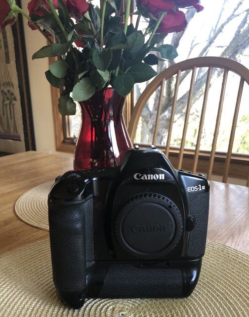 EOS1n.jpg