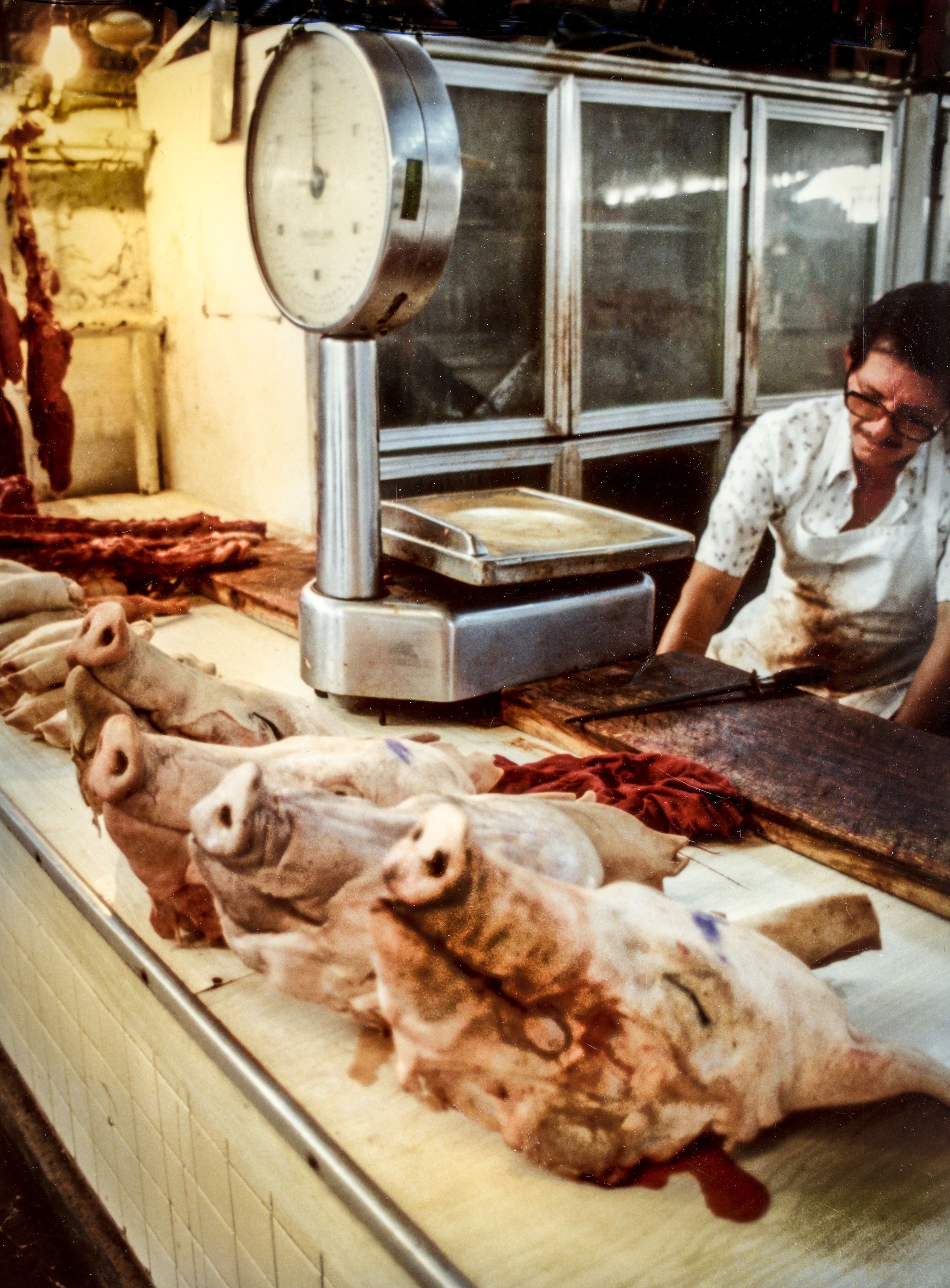 pigsheads-copyright-1983-daniel-d-teoli-jr-mr.jpg