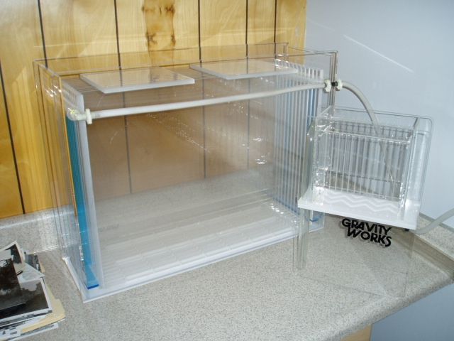 PB030072.jpg