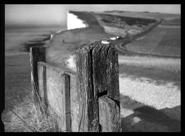 www.flickr.com