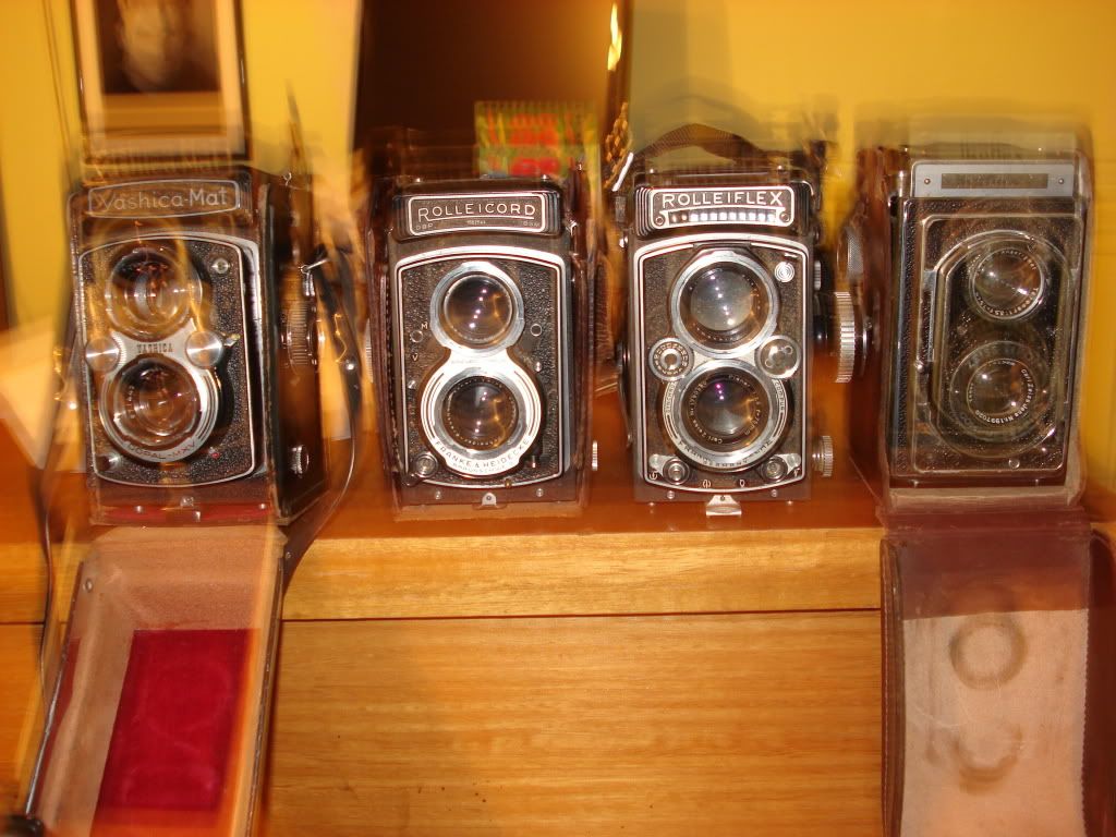 DSC01196.jpg