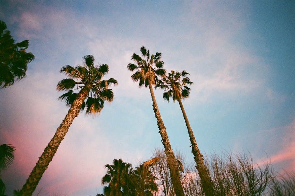 95410017AdoxColor_1000px.jpg